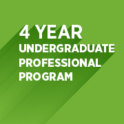 Undergraduate Professional Program - 4 yrs.